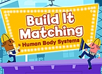 details of game - Build It Matching: Human Body Systems