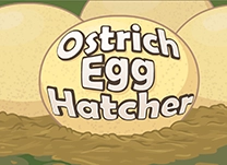 details of game - Ostrich Egg Hatcher