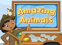 details of game - Amazing Animals
