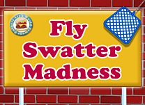 details of game - Fly Swatter Madness