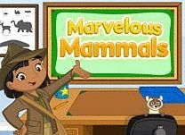 details of game - Marvelous Mammals