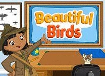 details of game - Beautiful Birds