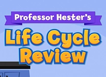 Help Professor Hester label diagrams of various animal life cycles.