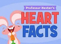 Complete sentences that tell facts about the heart.