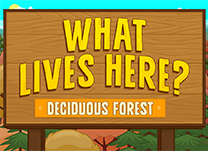 Test your knowledge of plants and animals that live in the deciduous forest environment.