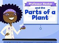 details of game - Professor Hester and the Parts of a Plant