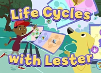 Help Lester complete the life cycles of some common animals.