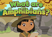 Help Pavati decide whether or not an animal is an amphibian based on clues about the animal&rsquo;s characteristics.