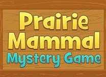 details of game - Prairie Mammal Mystery Game
