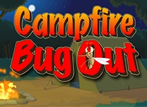 details of game - Campfire Bug Out