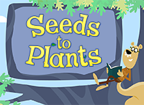 details of game - Seeds to Plants