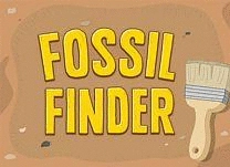 Search for fossils and then answer questions about them.