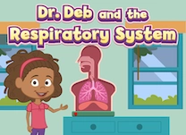 Help Dr. Deb label the parts of the human respiratory system.
