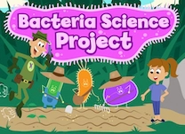 Help Super Scribe teach a young girl facts about bacteria for her science project.