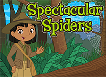 details of game - Spectacular Spiders