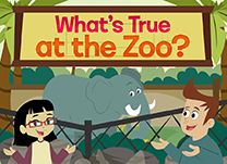 details of game - What&rsquo;s True at the Zoo?