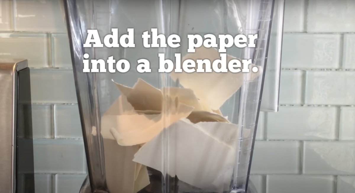 Learn How to Make Seed Paper With This Fun Craft ABCmouse