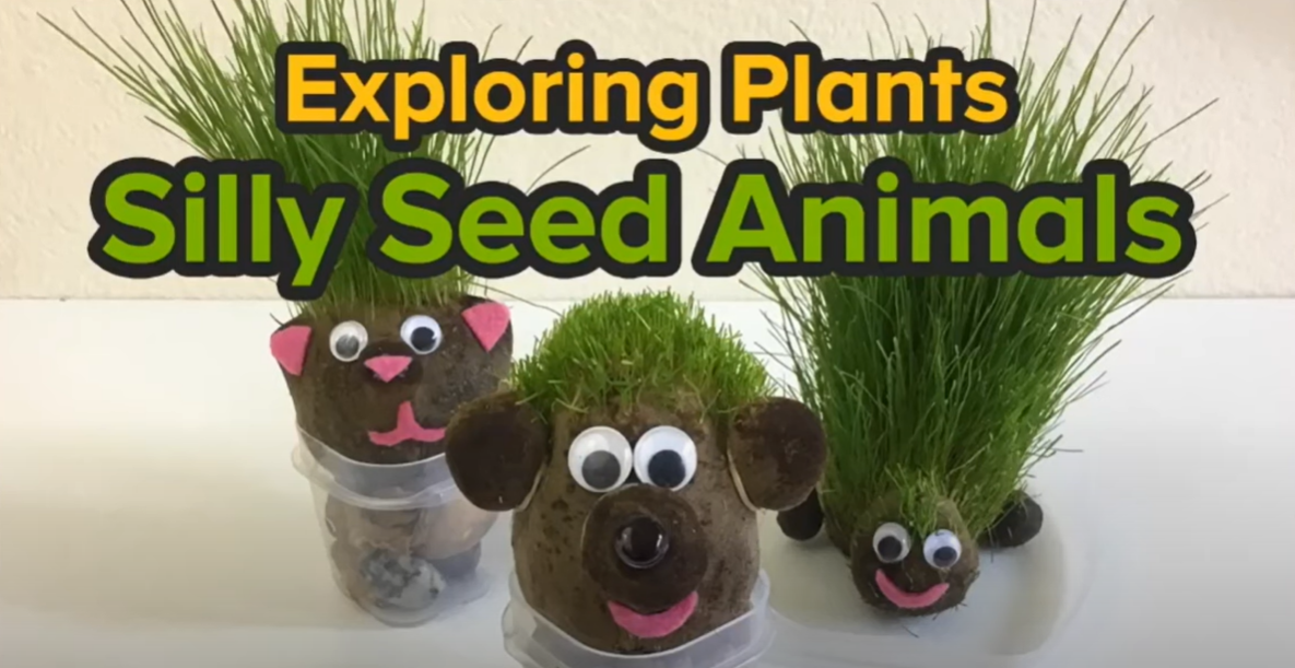 Learn How to Make Silly Seed Animals 