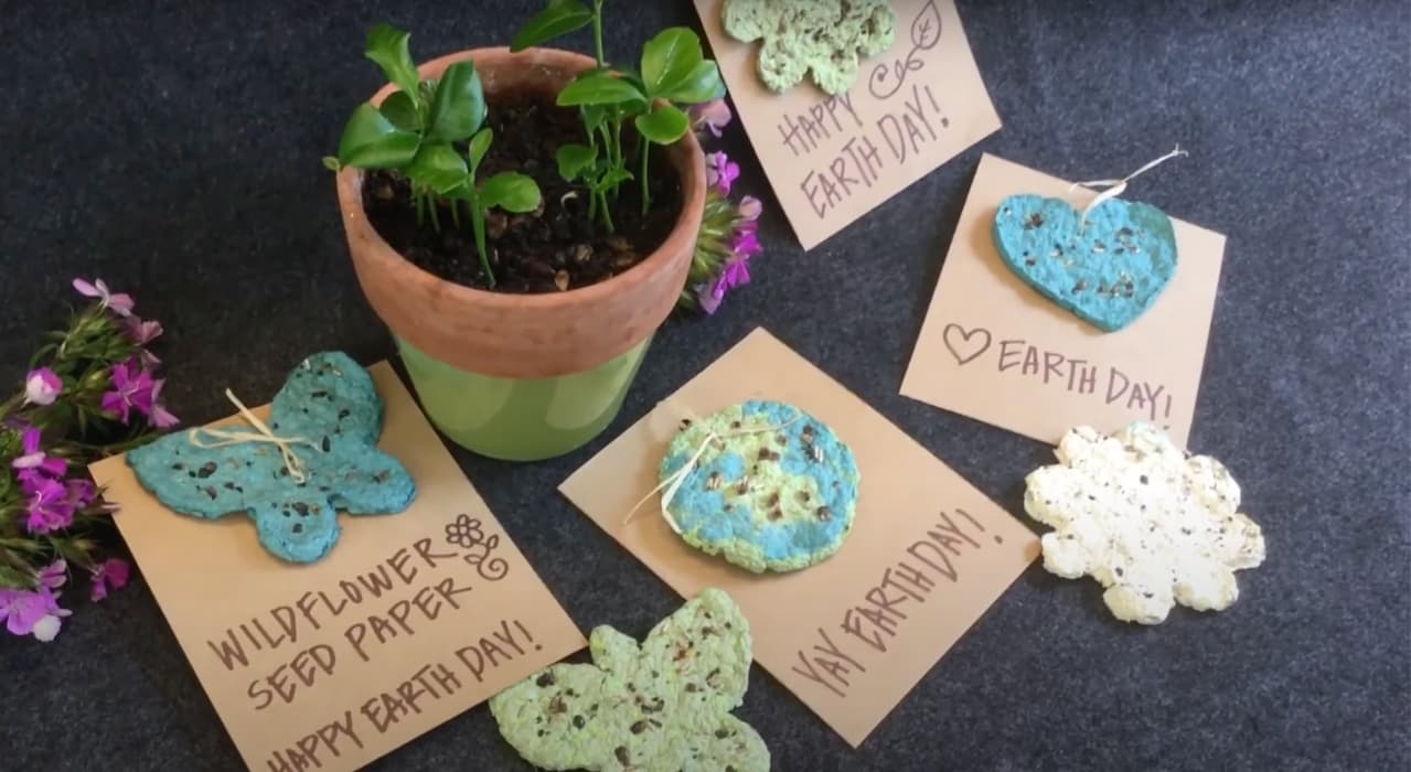 Learn How to Make Seed Paper With This Fun Craft