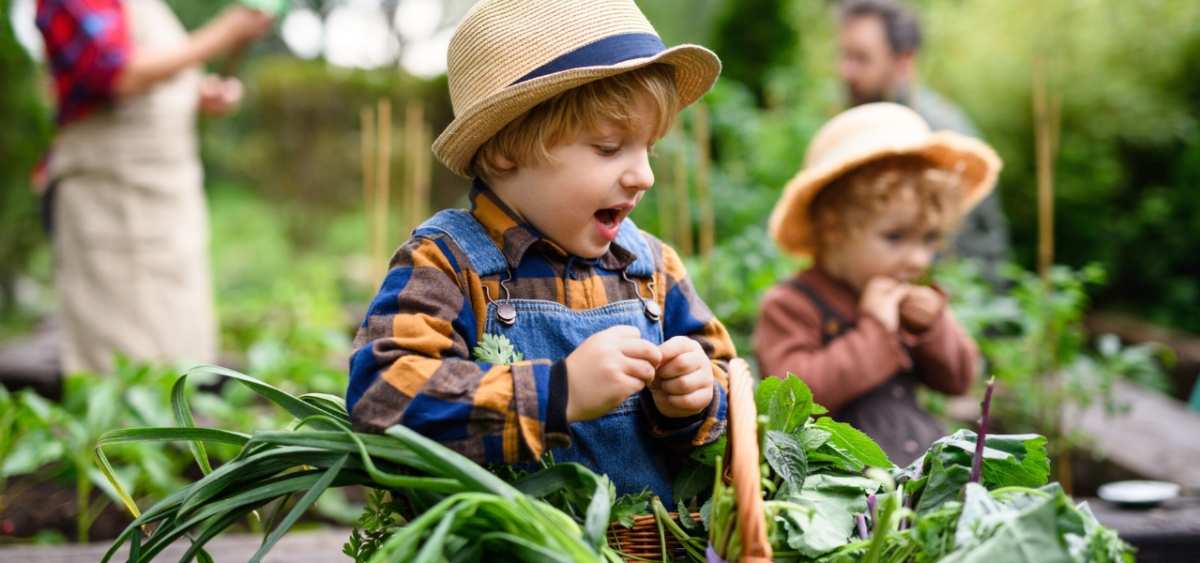 Toddlers learning about the wonder of gardening. 
