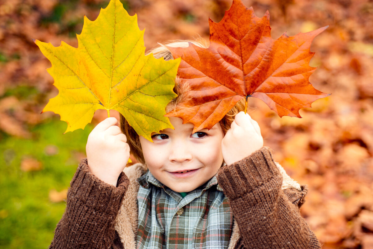 Boy holding fall leaves in front of his face. 