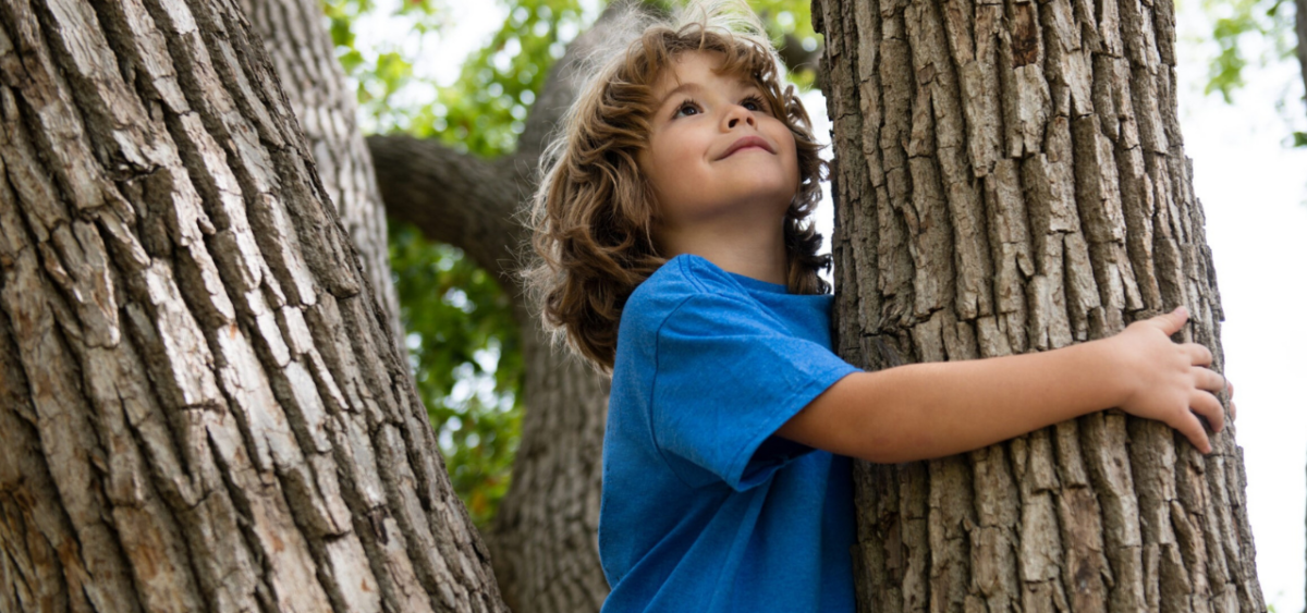 Boy in a blue shirt hugging a tree. 