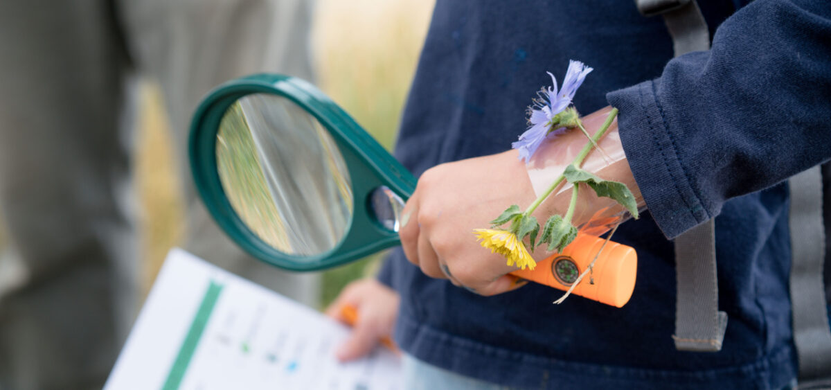 Child going on a scavenger hunt holding a magnifying glass. 