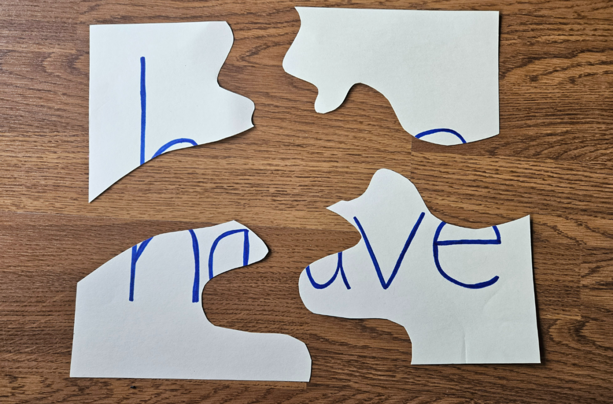 The sight word 'have' written on a paper and cut into 4 puzzle pieces. 