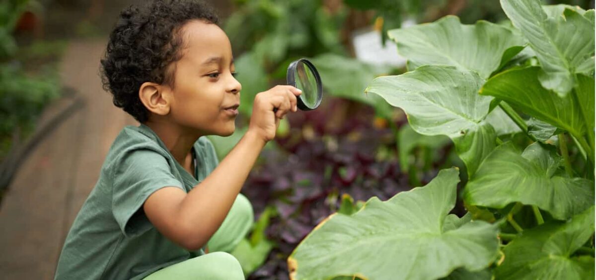 Preschooler looking at nature through a magnifying glass. 
