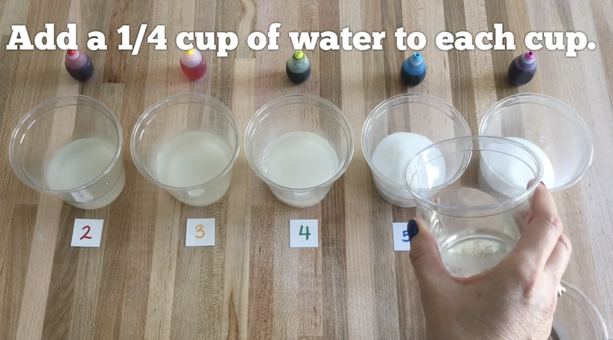 Adding a 1/4 cup of water to each cup for a fun colorful DIY experiment brought to you by ABCmouse. 