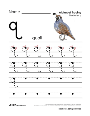Q is for quail free tracible letter q coloring page from ABCmouse.com. 