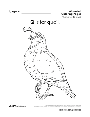 Q is for quail free printable letter q coloring page from ABCmouse.com. 