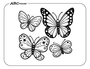 Set of 4 butterflies. Free printable coloring page from ABCmouse.com. 