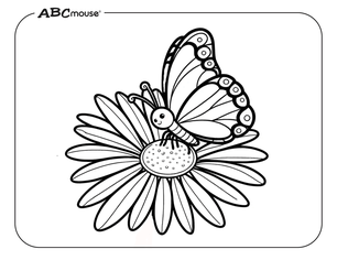 Butterfly on a flower. Free printable coloring page from ABCmouse.com. 