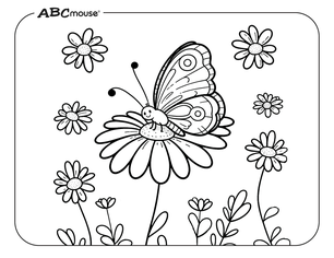 Butterfly on a flower. Free printable coloring page from ABCmouse.com. 