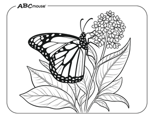Monarch butterfly. Free printable coloring page from ABCmouse.com. 