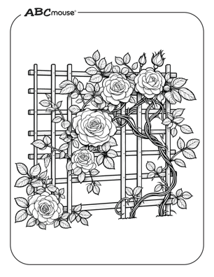 Free printable rose on a trellis coloring page for kids from ABCmouse.com. 