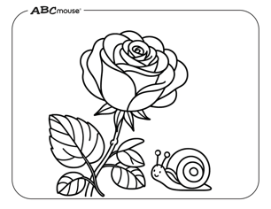 Free printable rose with snail coloring page for kids from ABCmouse.com. 