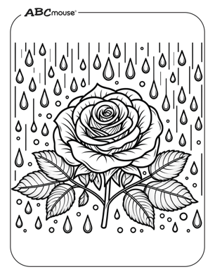 Free printable rose with rain coloring page for kids from ABCmouse.com. 