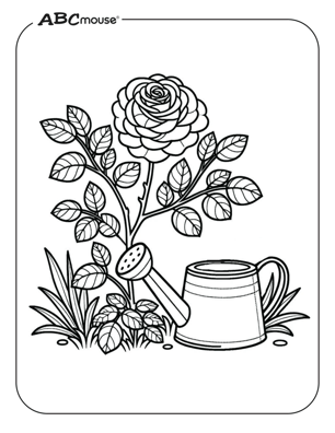 Free printable rose with water can coloring page for kids from ABCmouse.com. 