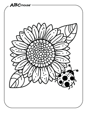 Free printable Sunflower coloring pages for kids from ABCmouse.com. 