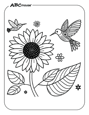 Free printable Sunflower coloring pages for kids from ABCmouse.com. 