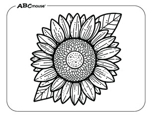 Free printable Sunflower coloring pages for kids from ABCmouse.com. 