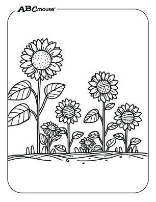 Free printable Sunflower coloring pages for kids from ABCmouse.com. 