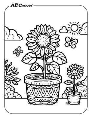 Free printable Sunflower coloring pages for kids from ABCmouse.com. 