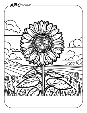 Free printable Sunflower coloring pages for kids from ABCmouse.com. 