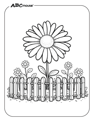 Free printable daisy flower pictures from ABCmouse.com. 