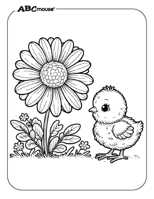 Free printable daisy flower pictures from ABCmouse.com. 