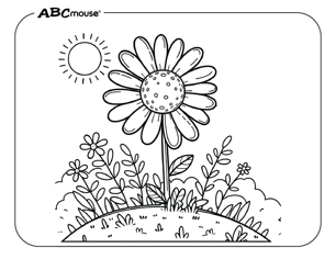 Free printable daisy flower pictures from ABCmouse.com. 