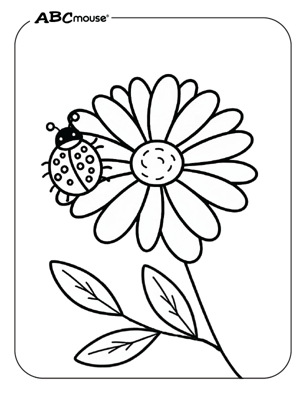 Free printable daisy flower pictures from ABCmouse.com. 